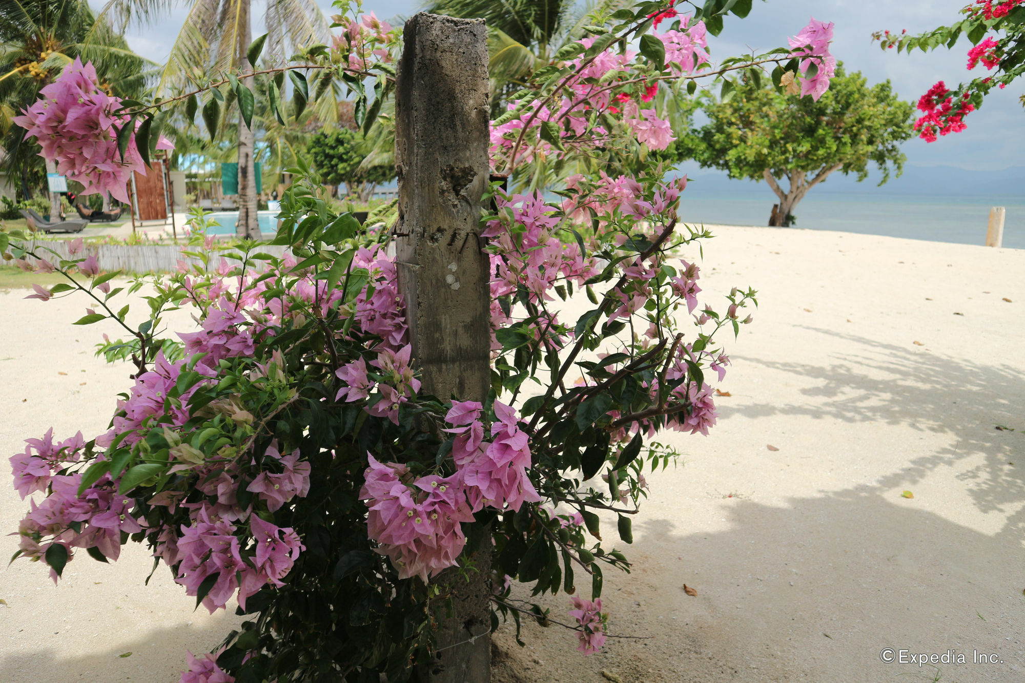 Dos Palmas Island Resort & Spa Puerto Princesa Exterior photo